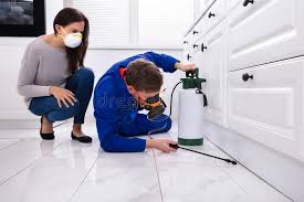 Best Residential Pest Control  in Port St John, FL